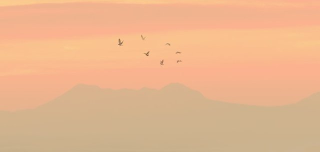 Screenshot 2024-11-23 222456.jpg