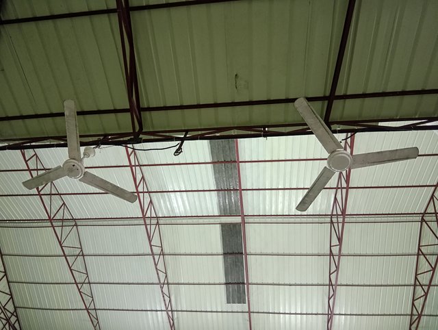 1000045050.jpg