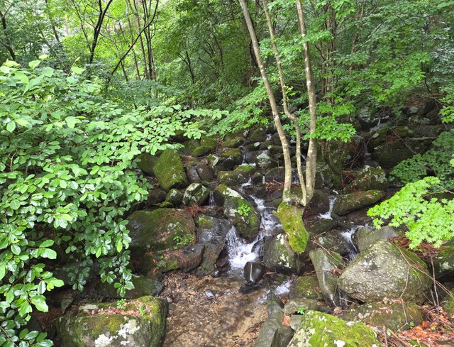 20250701_092727.jpg