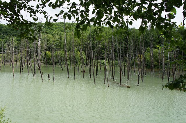 Japan-Hokkaido12802-201.jpg