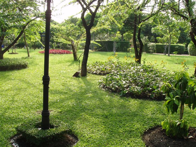 Queen Sirikit Park lawn