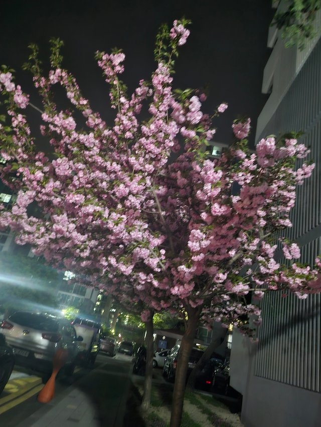 KakaoTalk_20250417_232356964.jpg