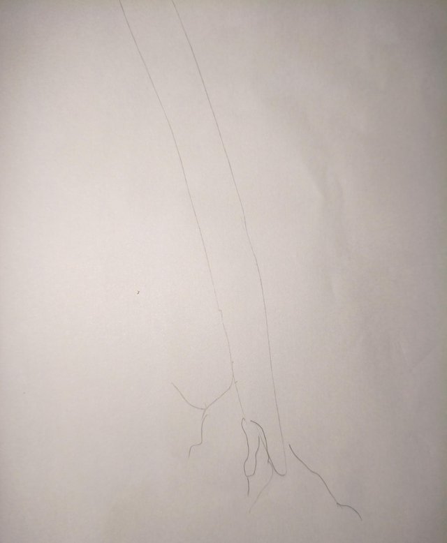 1000056141.jpg