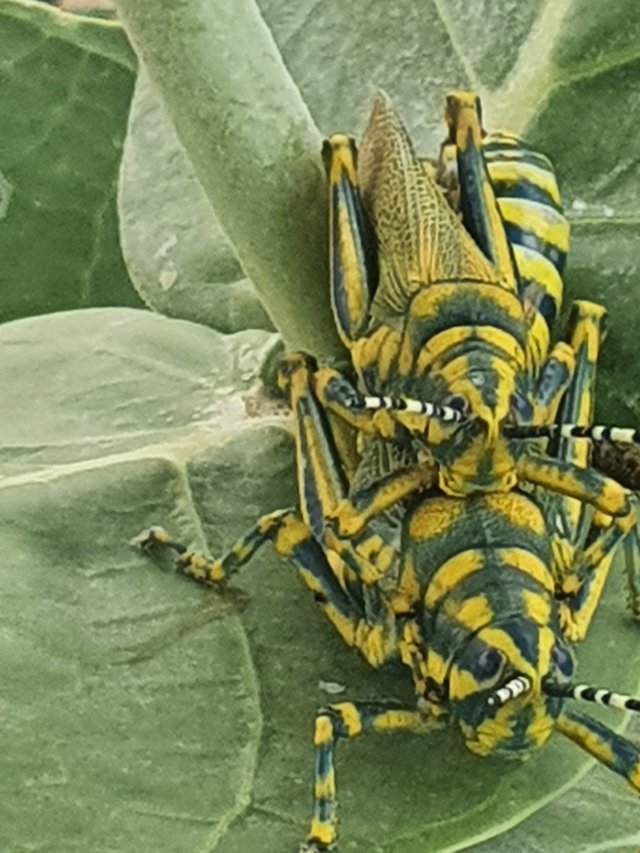 20250712_170209.jpg