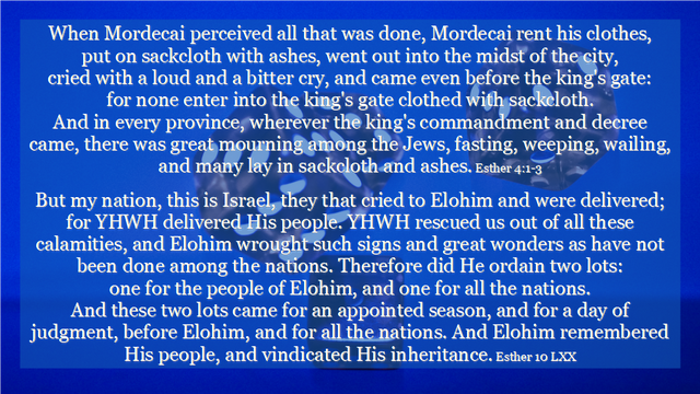 Shabbat Shalom 2-27-2021.png