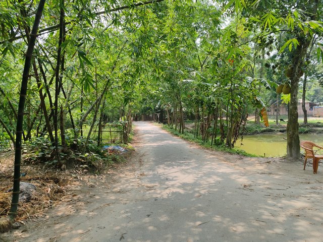 1000047075.jpg