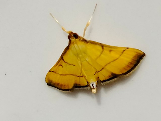 IMG20250506135620.jpg