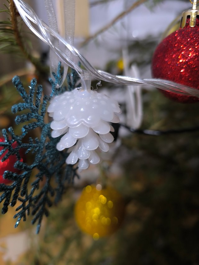 IMG_20241229_192702.jpg