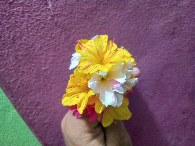 IMG20250320180426.jpg