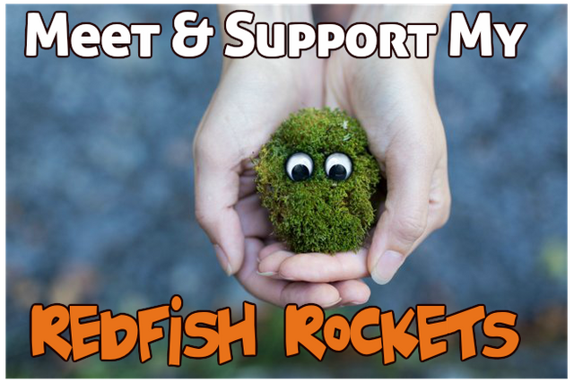 meet and support my redfish rockets.png