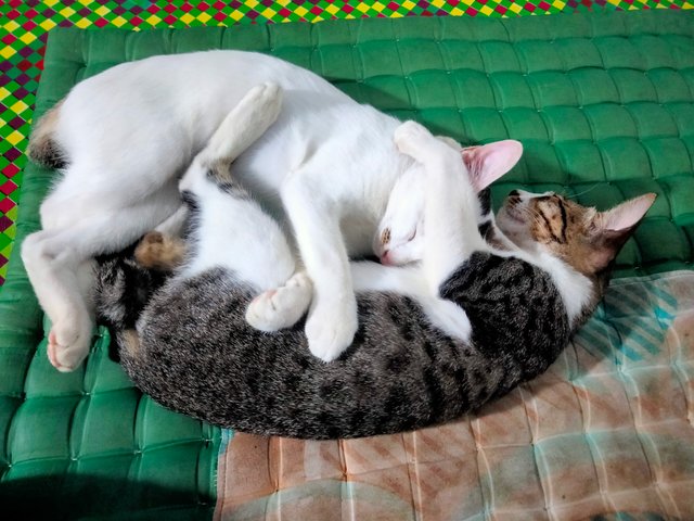 IMG20250823221517.jpg