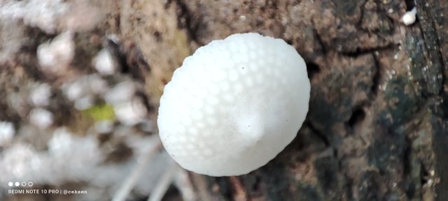 IMG_20220129_095804.jpg