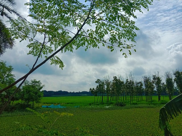 IMG_20250921_150918.jpg