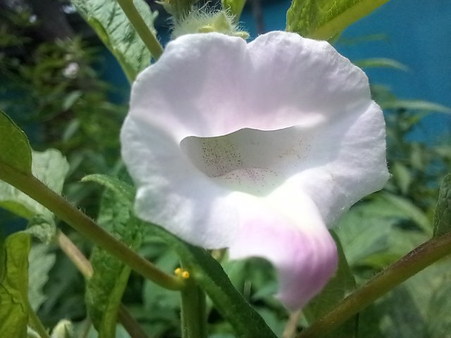 20250801_115159.jpg
