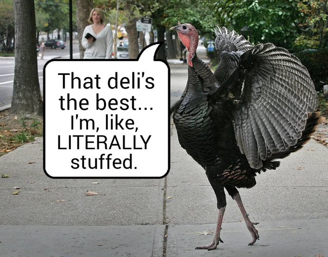 turkey_figuratively_stuffed.jpg