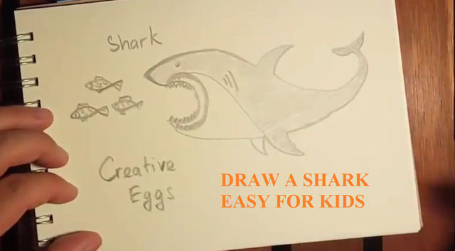 how to draw a shark step by step.png