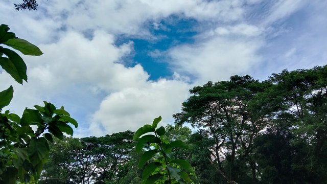 IMG_20250915_125820.jpg