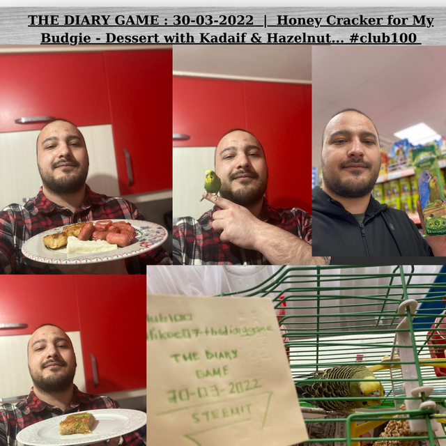 THE DIARY GAME  30-03-2022  Honey Cracker for My Budgie - Dessert with Kadaif & Hazelnut... #club100.png