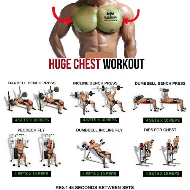 Bigger best sale chest calisthenics