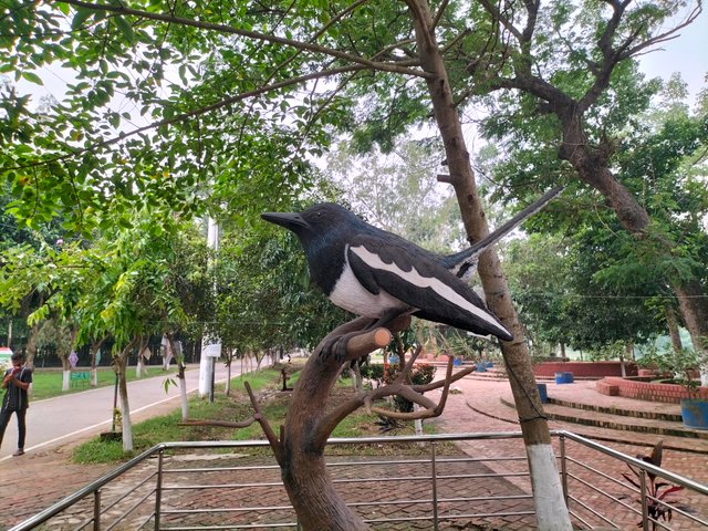 IMG20240530105049.jpg