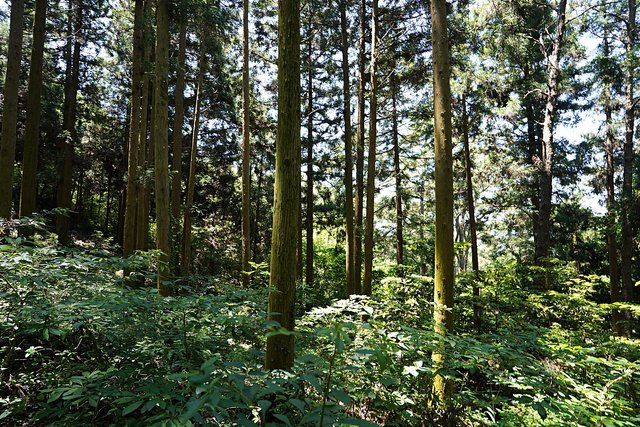 b-DSC08031.JPG