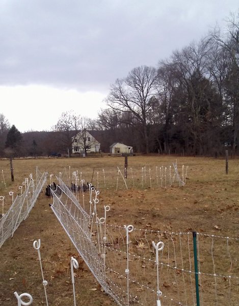 Snake fence - Layers4 crop March 2018.jpg