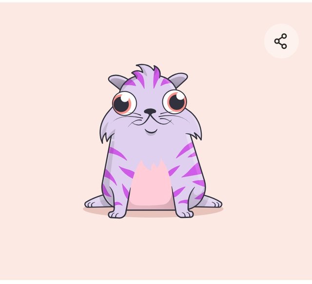 Waiting for the birth of cryptokitties  Menunggu kelahiran anak 