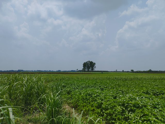 IMG_20250505_124314.jpg