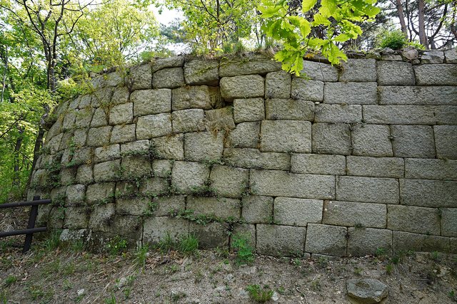 DSC08120.JPG