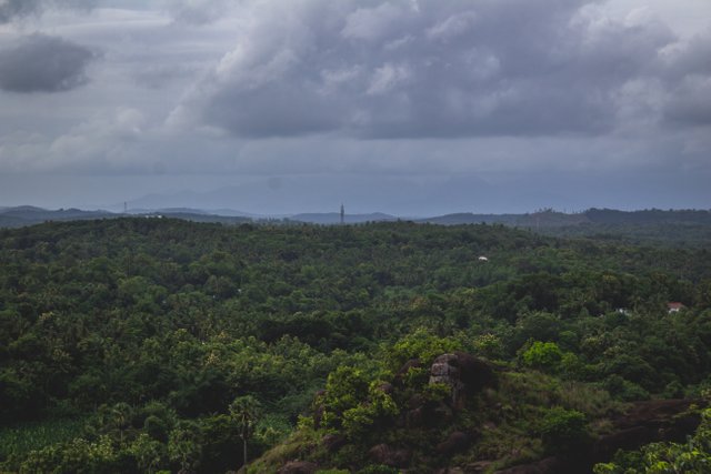 lush-green-landscape.jpg