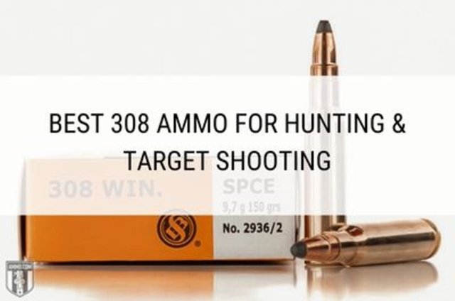 best-308-ammo-hero-image (1).jpeg