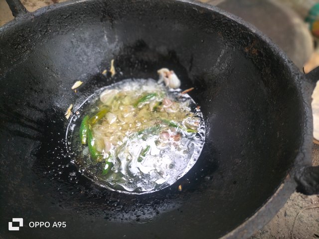 IMG20250501111512.jpg