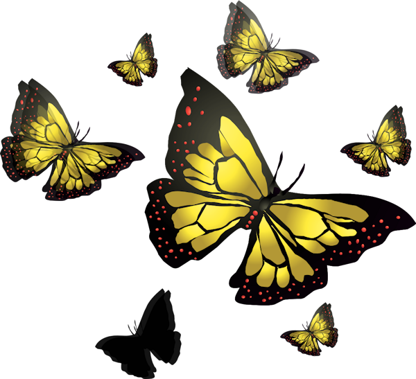 Vector butterfly.png
