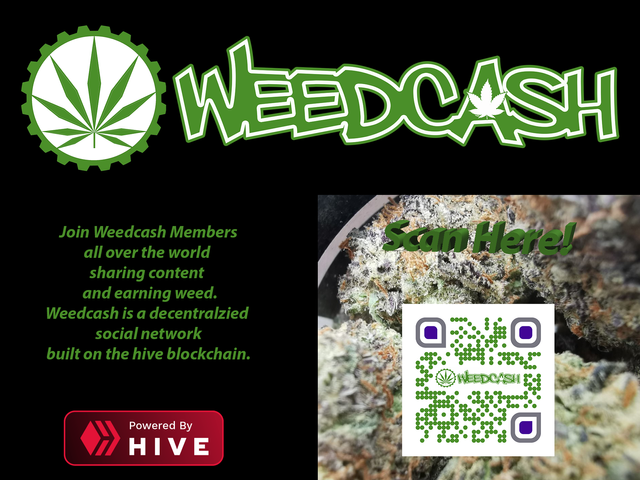 weedcash ad1.png