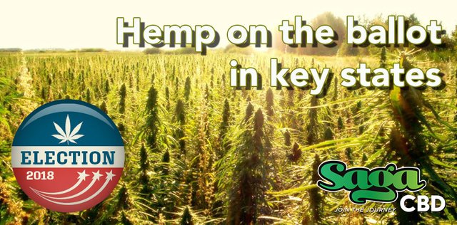 Hemp-ballot.jpg