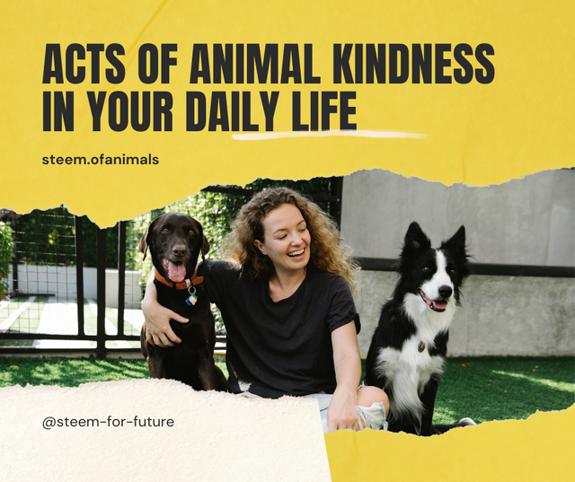 Acts of Animal Kindness in Your Daily Life_20241107_082900_0000.png