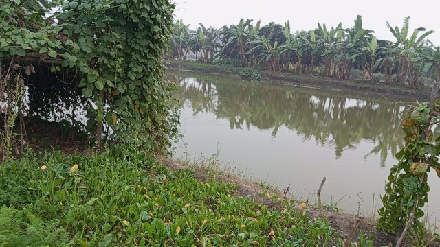 IMG_20241230_170519_8.jpg