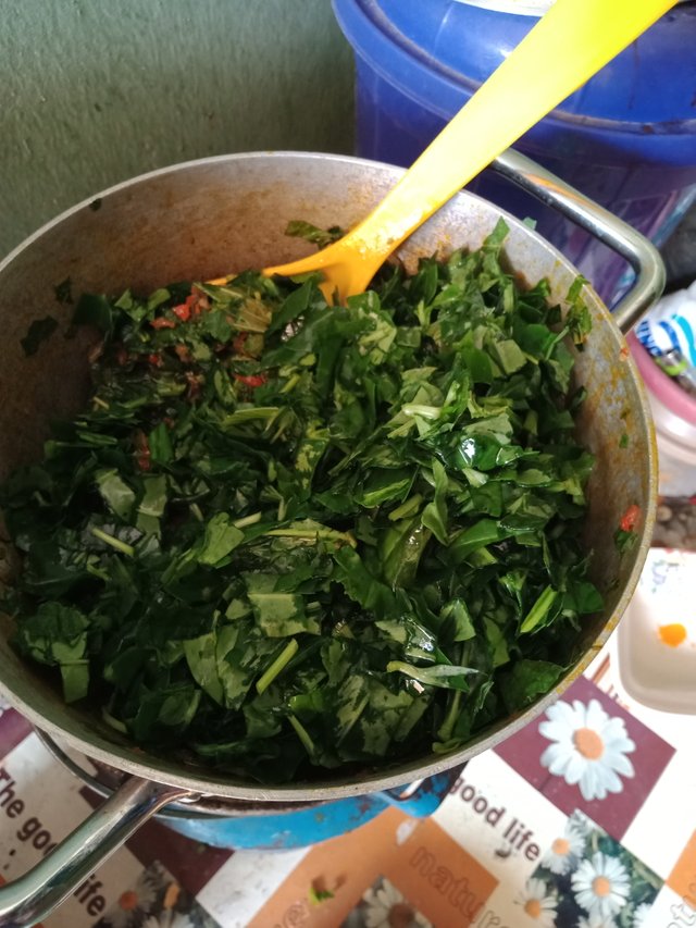 IMG20210426143420.jpg