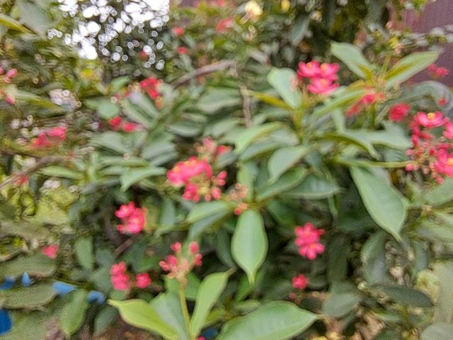 20220930_135059.jpg
