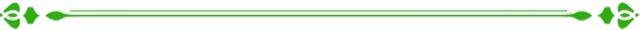 Garis_pembatas-removebg-preview.png