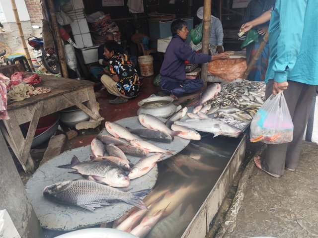  2025-03-24 at 7.48.29 PM (1).jpeg