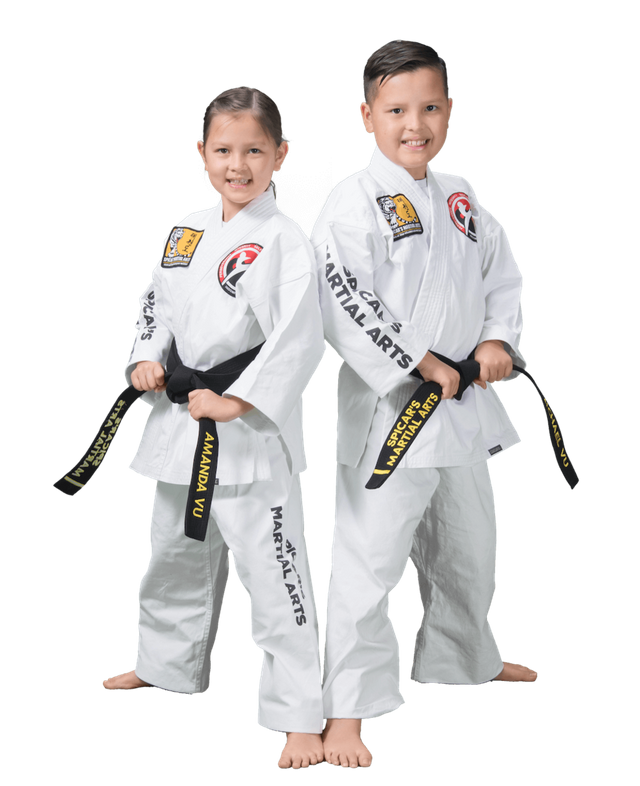 Kids-Karate-PNG-Image.png