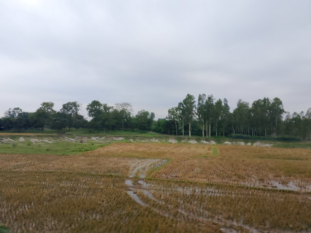 1000038081.jpg