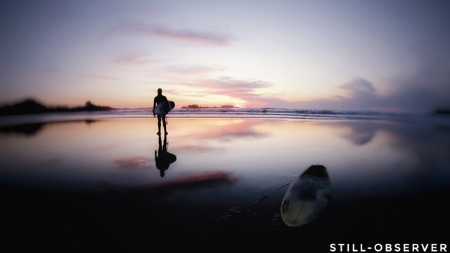 Sunset Surfer.jpg