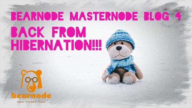 bearnode blog 4 header - jpeg.jpg