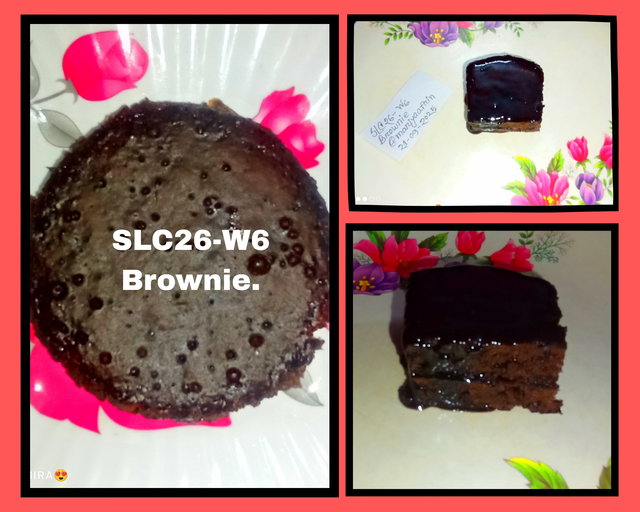 SLC26-W6 _ Brownie._20250921_201106_0000.png