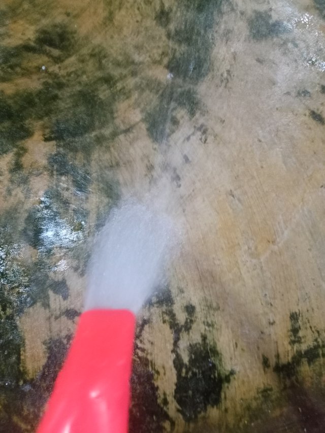 IMG20250803181916.jpg