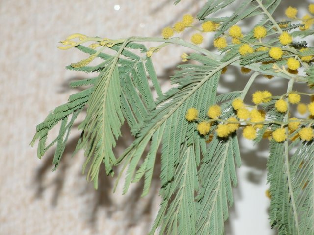 DSCF7818.JPG