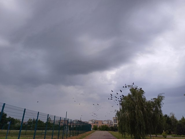 20250626_054443.jpg
