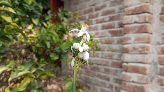 IMG_20240221_080837_1.jpg